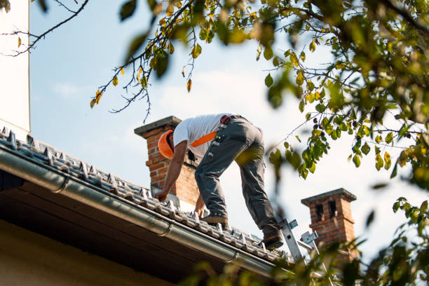 Best Emergency Roof Repair  in Brookville, IN