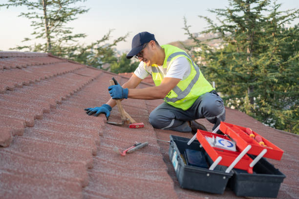 Best Roof Maintenance Services  in Brookville, IN