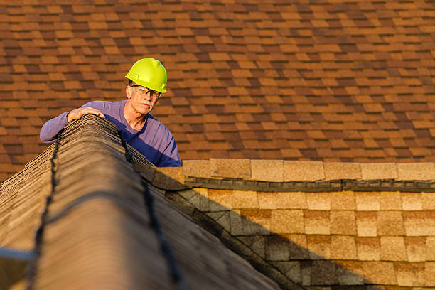 Best Best Roofing Contractors  in Brookville, IN